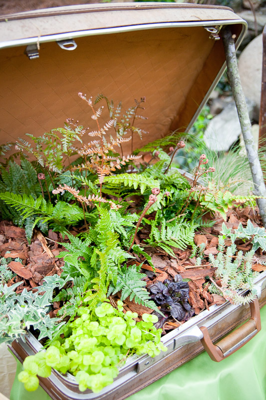 Container Gardens - Cultivators Landscape Architecture Atlanta